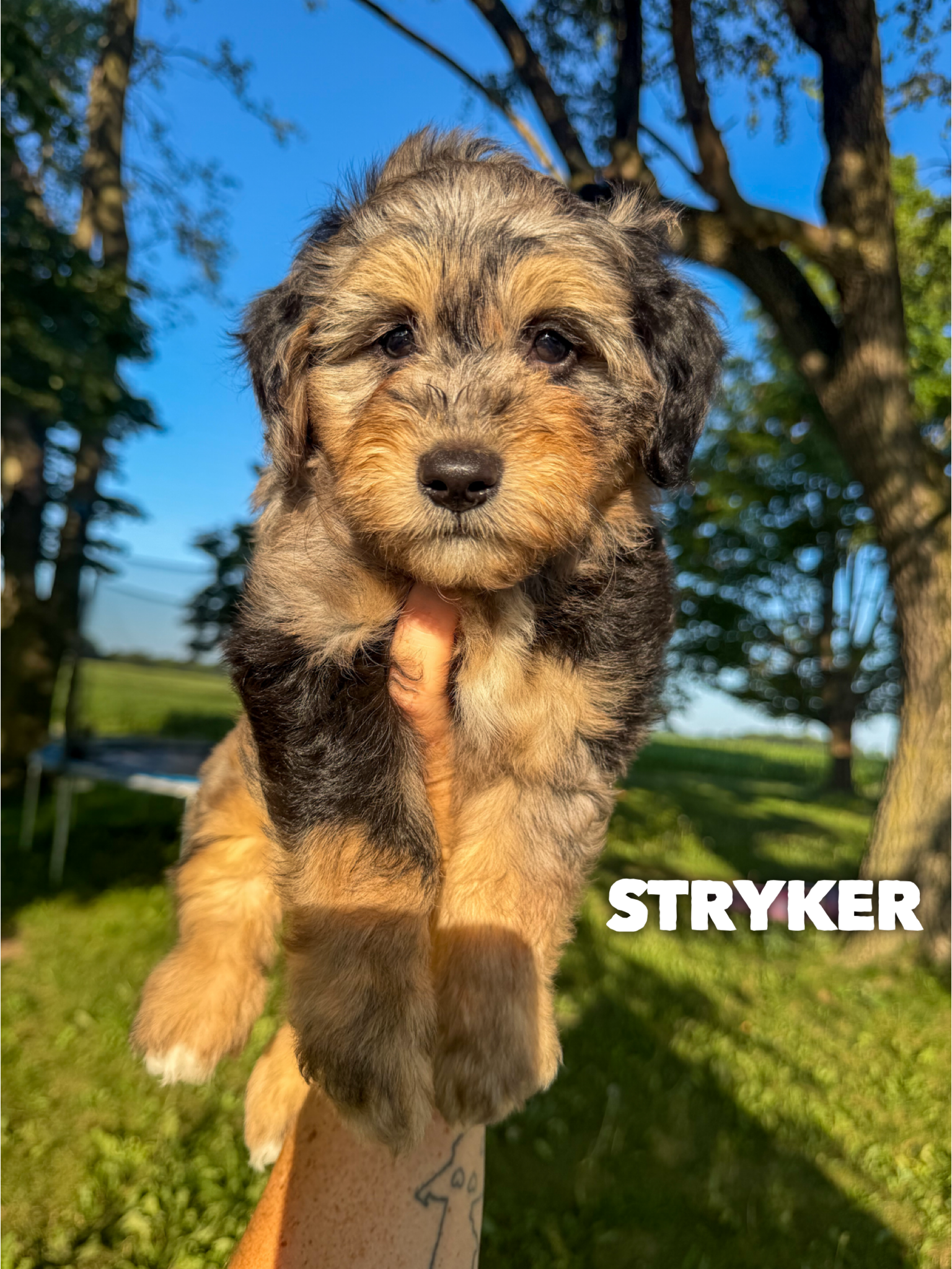 Stryker 1